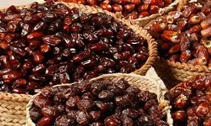 چند روز آینده خرید توافقی خرما آغاز می&zwnj;شود/ افزایش قیمت شیر موقتی است