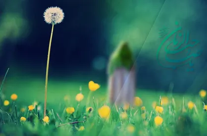 فیلم/ چرا امام زمان(عج) ظهور نمی&zwnj;کند؟