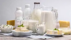 صادرات لبنیات به یک میلیارد دلار رسید