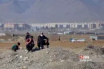 مسابقات سوارکاری 