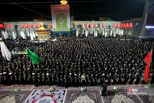 دبب