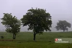 مه 