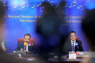 سیلذ