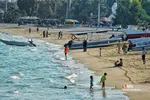 صثفصل