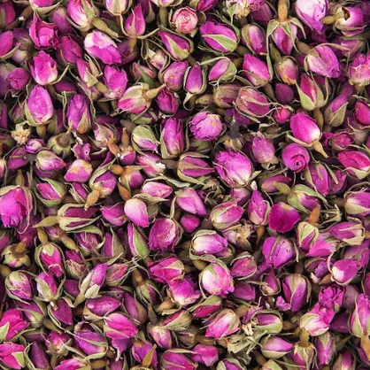 &laquo;گل محمدی&raquo; سنددار می&zwnj;شود