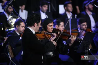 دبب