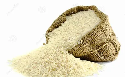دلیل واردات برنج در فصل ممنوعیت چیست؟