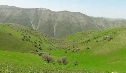 رشد ۲ میلیون هکتاری طرح&zwnj;های مرتعداری کشور تا پایان امسال