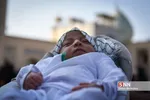 همایش شیرخوارگان حسینی در شیراز