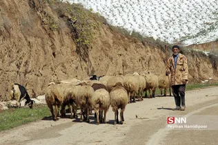 برف بهاری