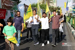 دبب
