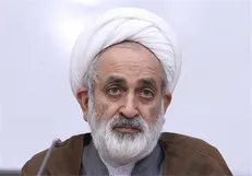 سالک: طرح «ارتقاء اخلاقی» در کمیسیون فرهنگی مجلس تنظیم شده/ حمایت قوه مقننه از نیروی انتظامی در برخورد با هنجارشکنان