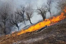آتش‌سوزی در عرصه‌های طبیعی ایذه مهار شد