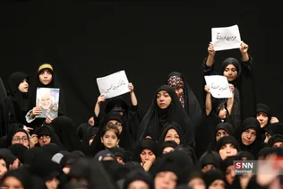 دبب