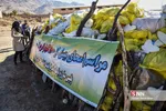 امحاء ۱۸ تن مواد مخدر در شیراز