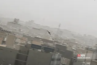 یبت