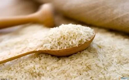 وضع نامساعد بازار برنج؛ از قیمت بالای سم تا گرانی کیسه