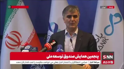 فرزین: صندوق توسعه ملی باید به جای پول دادن، سهامدار بانک&zwnj;ها شود/ باید اساسنامه صندوق تغییر کند؛ وصله پینه کردن فایده ندارد