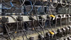 کشف عتیقه‌جات و ماینرهای غیرمجاز در دو عملیات انتظامی