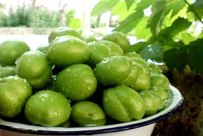 گوجه سبز دانه&zwnj;ای ۱۰۰ هزار تومان