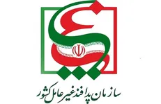 توضیحات سازمان پدافند غیرعامل درباره حمله سایبری