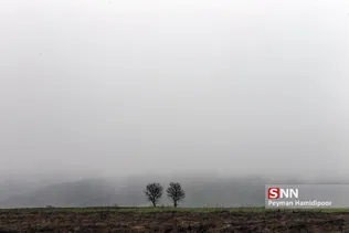 مه در جاده