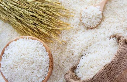 انجمن تامین&zwnj;کنندگان برنج خواستار ابطال ثبت&zwnj;سفارش غیرقانونی شد