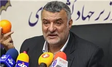 راهکار جدید دولت برای جلوگیری از افزایش بی‌رویه واردات سویا و ذرت