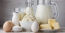 قیمت لبنیات هفتگی بالا می‌رود/وزارت جهاد مکلف به نظارت است