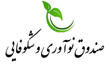 راه&zwnj;اندازی پلتفرم تجارت بین&zwnj;المللی برای فروش کالا&zwnj;های ایرانی با حمایت صندوق نوآوری و شکوفایی