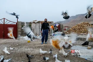 بیش از چهار ماه از زلزله سرپل ذهاب گذشته و روستاها تبدیل به کمپی از چادرو کانکس شده اند، مردم در شرایط سختی بسر میبرند، اینجا روستای کوئیک است در خرابه ها در میان خنده ها و گریه های مردم زلزله زده کورسویی از امید دیده میشود.