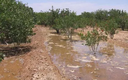 اصلاح روش&zwnj;های سنتی کشاورزی در زنجان ضرورتی اجتناب&zwnj;ناپذیر است