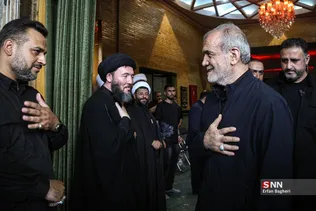 دبب
