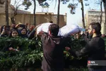آیین تشییع و تدفین شهید گمنام در دانشگاه خوارزمی