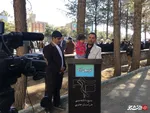 تریبون