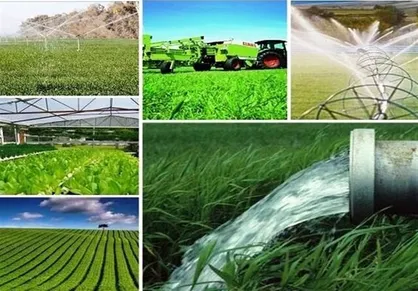 حمایت وزارت جهاد کشاورزی از کشاورزانی که الگوی کشت را رعایت کنند