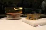 گردهمایی شرکت های دانش بنیان فضایی