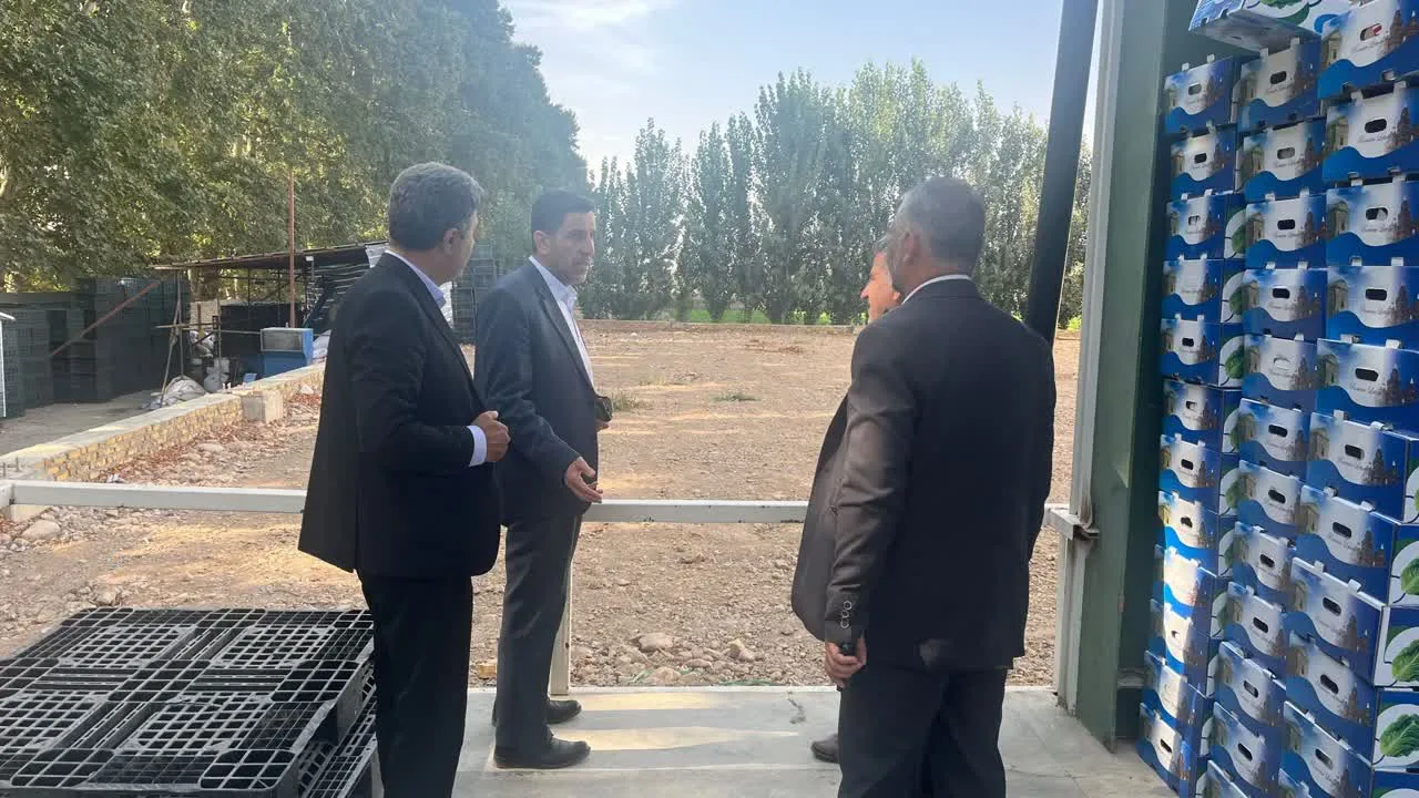 ساوجبلاغ پایلوت کشاورزی هوشمند می‌شود / از هوش مصنوعی تا کاهش مصرف آب
