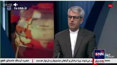 بقایی: طرح کوچاندن فلسطینیان تداوم نسل‌کشی به شیوه‌ای جدید است/ جهان اسلام به صورت قاطع با این طرح مخالف است +فیلم