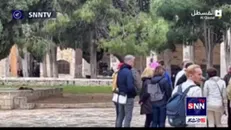 تعرض مجدد شهرک نشینان تحت حمایت نظامیان صهیونیست به مسجدالاقصی