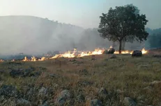 ارتفاعات شهرستان اندیکا خوزستان بار دیگر دچار حریق شد/ آتش سوزی ادامه دارد
