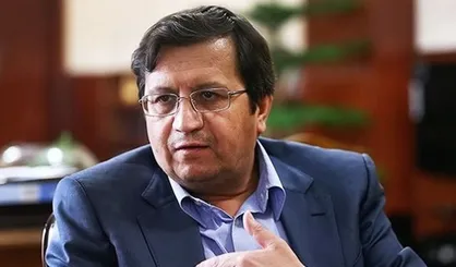 حل مشکلات اختیاراتی فراتر از رئیس بانک مرکزی می&zwnj;خواهد