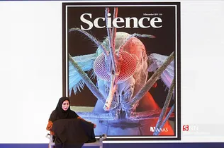 شلق