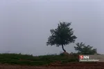 مه 