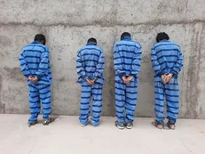انهدام ۷۵ باند دزدی و کاهش ۱۵ درصدی سرقت در لرستان