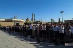 فطر