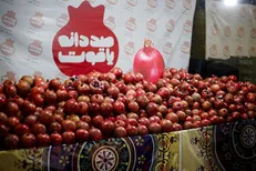 برگزاری اولین «جشنواره انار» در غرب تهران