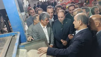 وزیر کشاورزی: مطالبات چای&zwnj;کاران تا یک هفته دیگر پرداخت می&zwnj;شود
