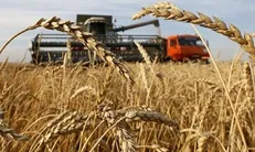 افزایش ۱۲ درصدی قیمت گندم پس از خروج روسیه از توافق غلات