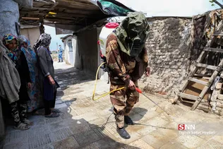 جدید
